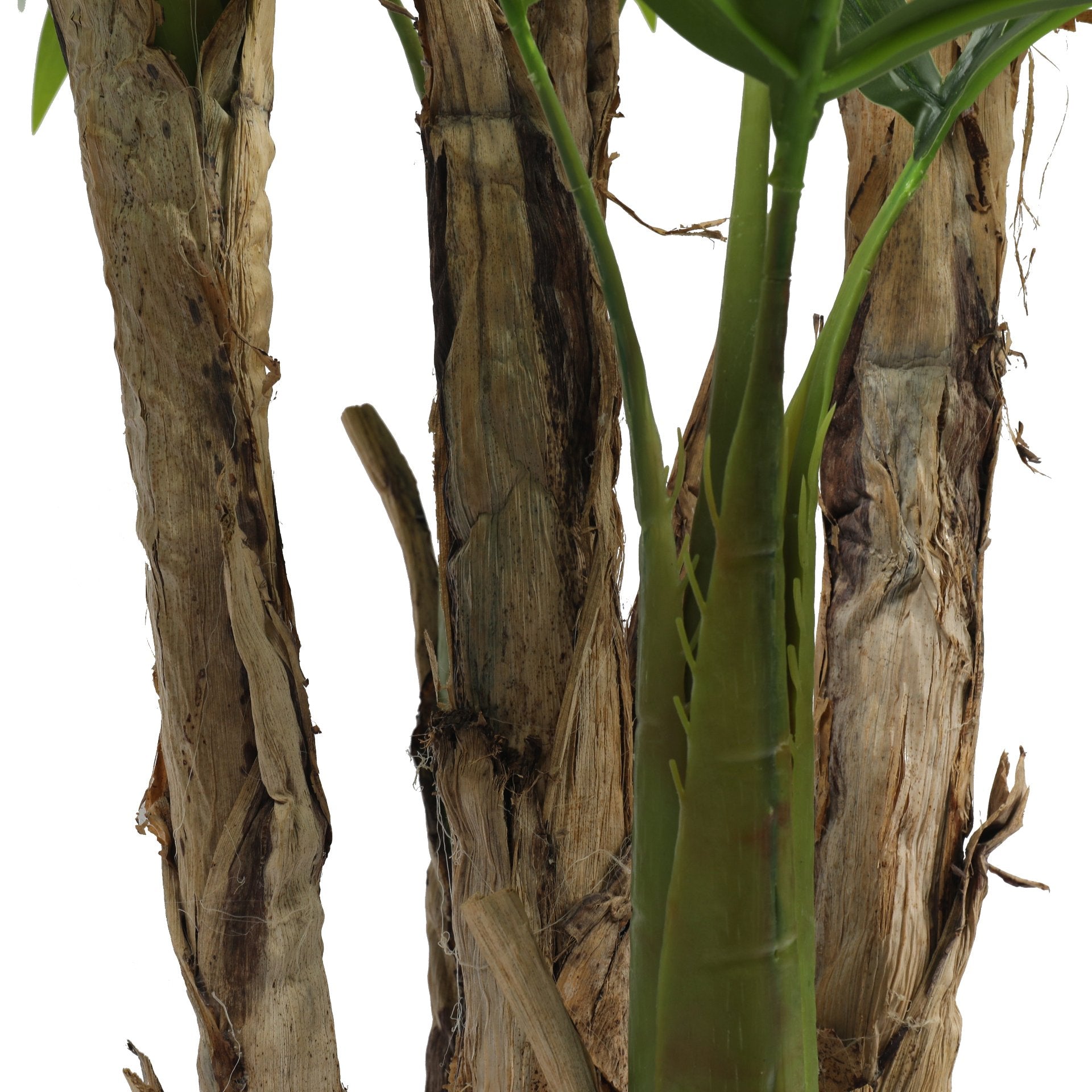 Palmera 190cms.