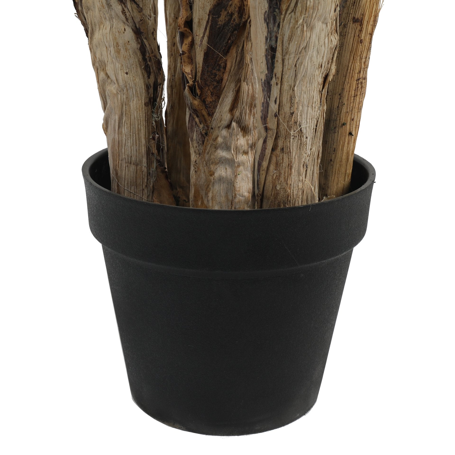 Palmera 190cms.