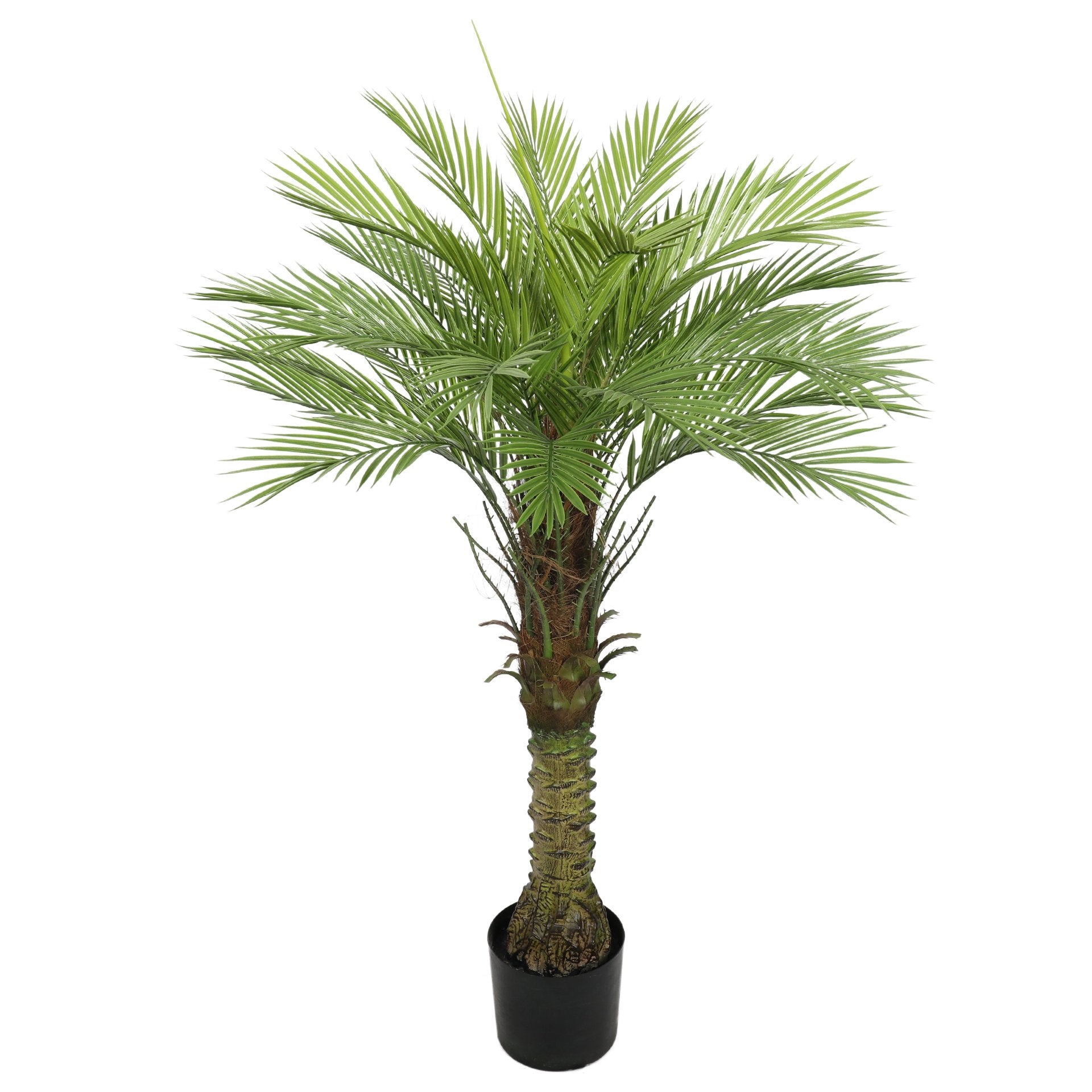 Palmera 135cms.