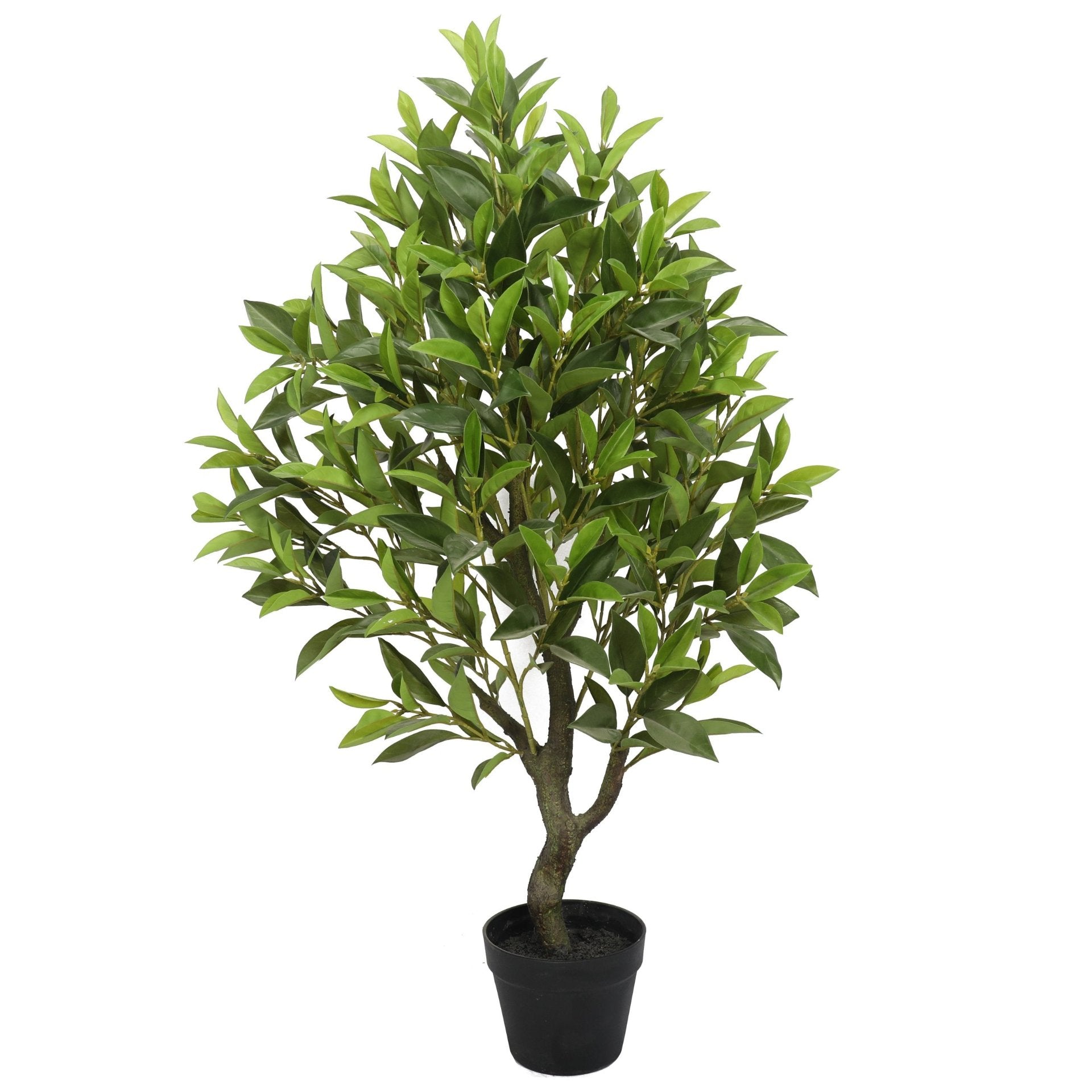 Jade 135 cm