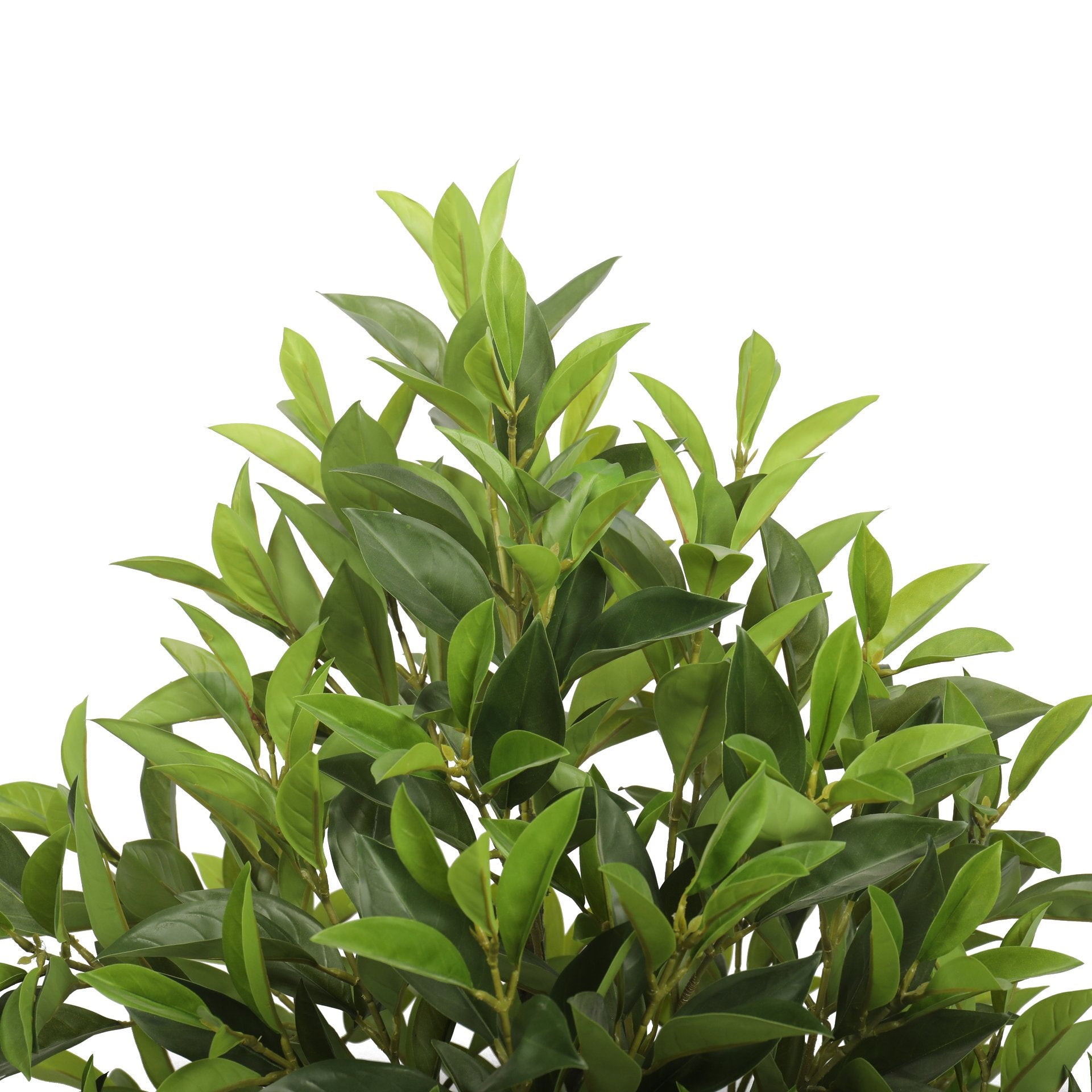 Jade 135 cm