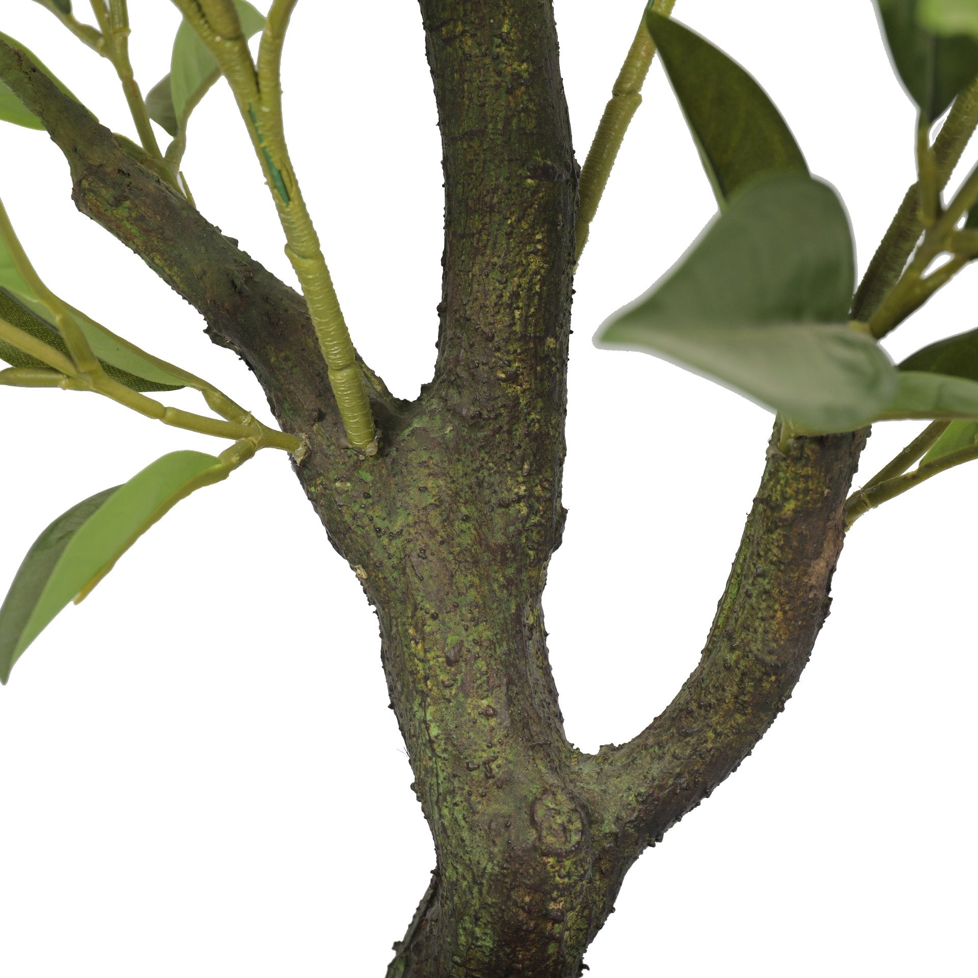 Jade 135 cm