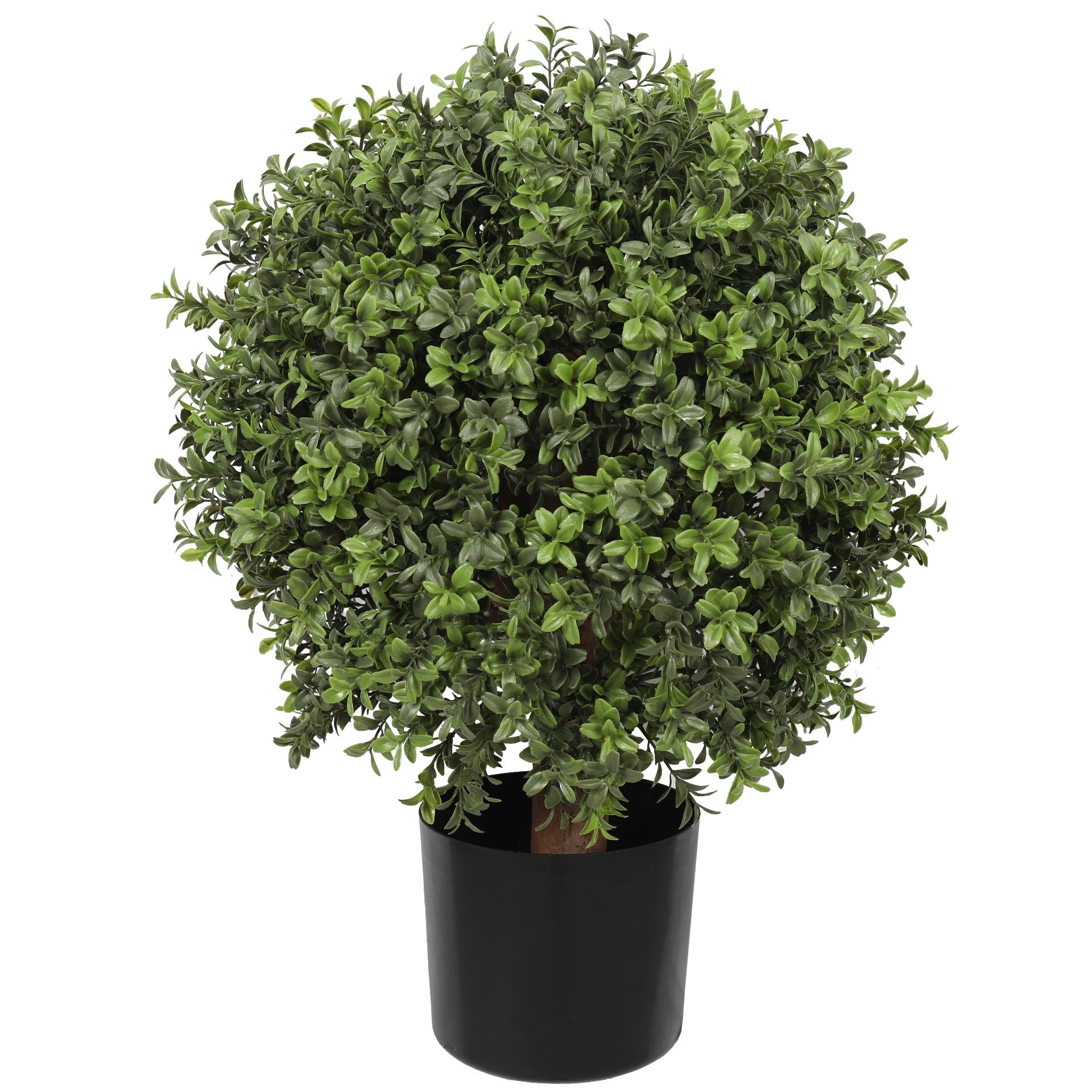 Boj 65cms, con filtro UV