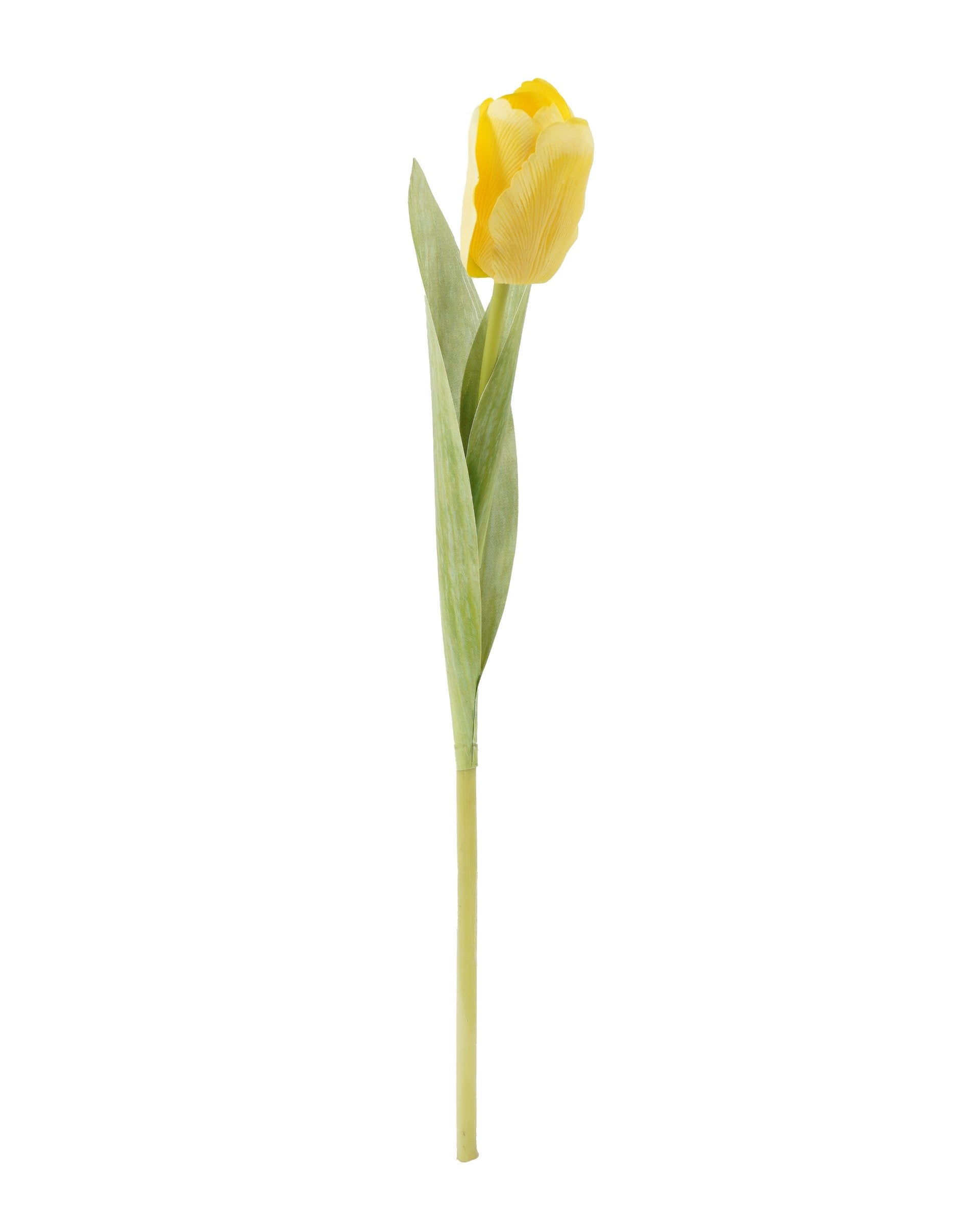 TULIPAN AMARILLO 35CMS