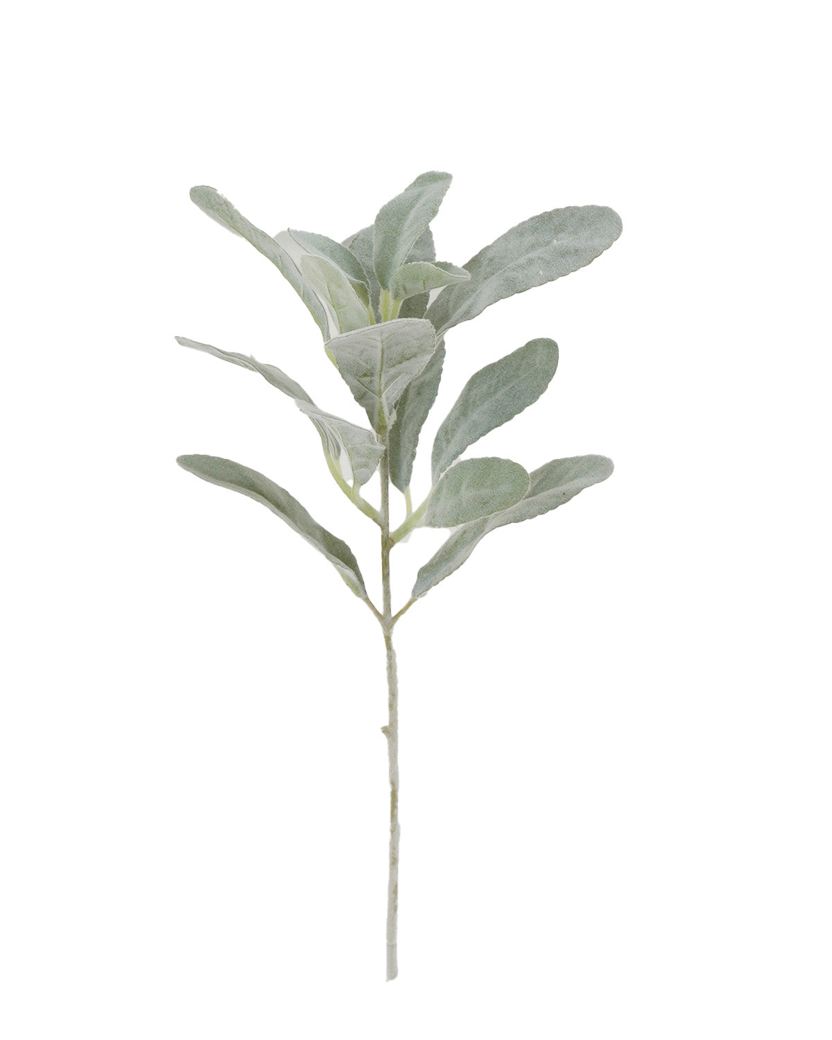 Vara Hojas Verdes (34 Cm)