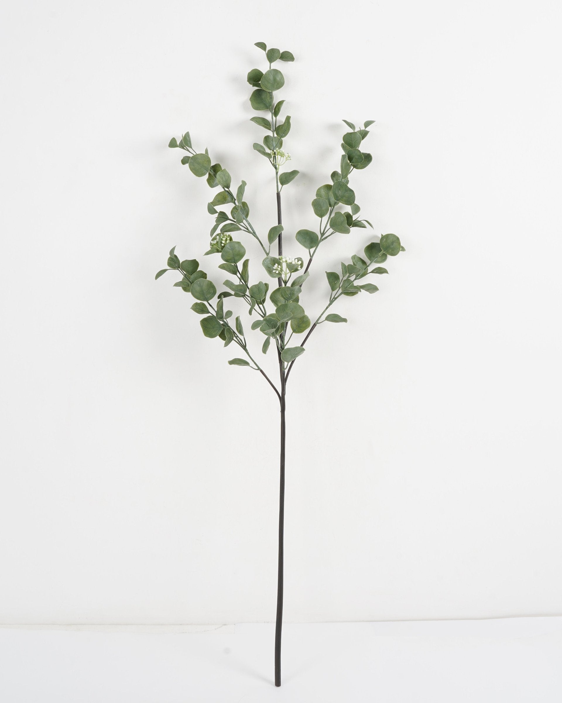 VARA EUCALIPTUS 114CMS