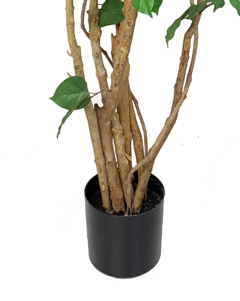 Bugambilia Con Filtro Uv (150 Cm)
