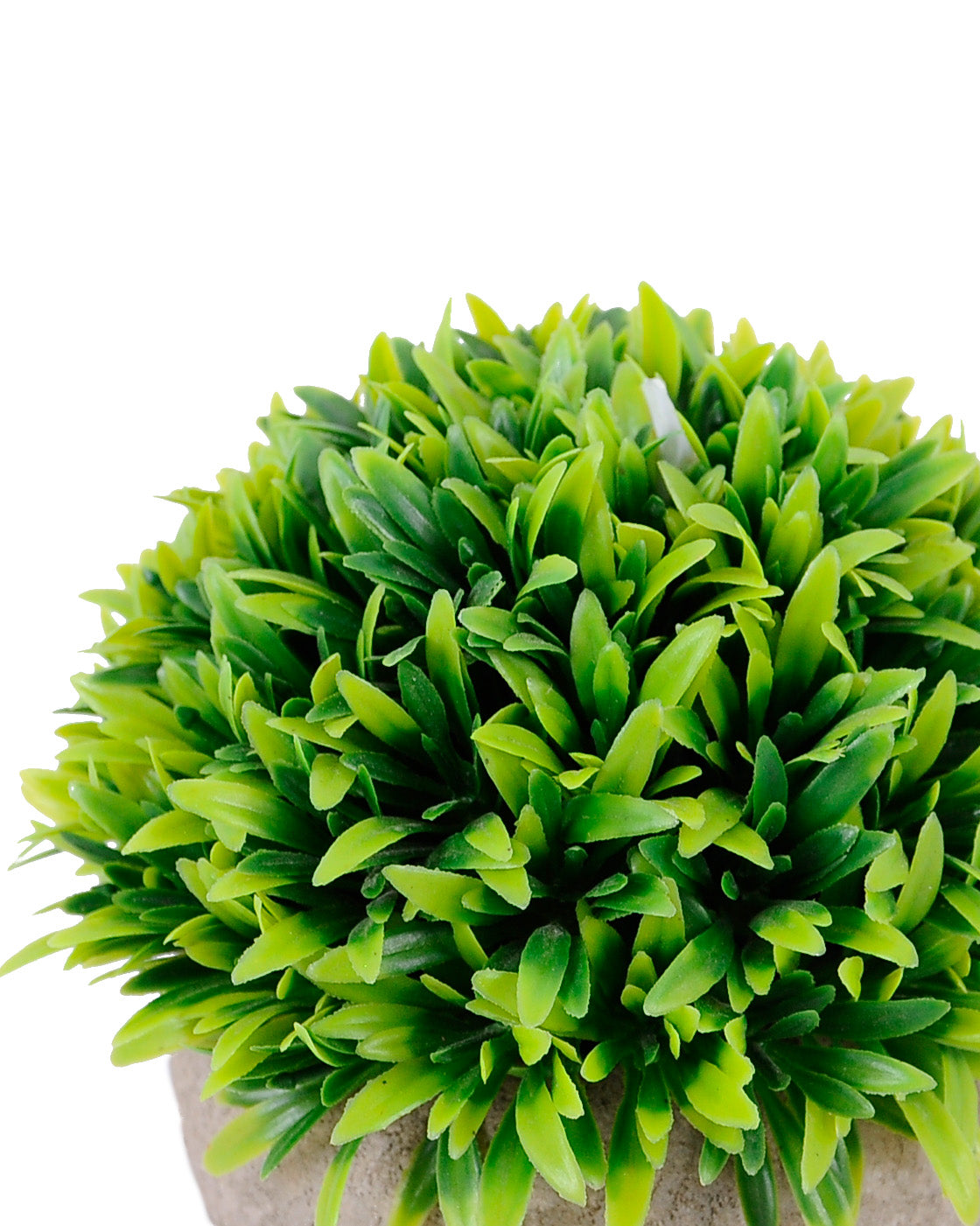 Grass Verde Con Macetero (12Cm)