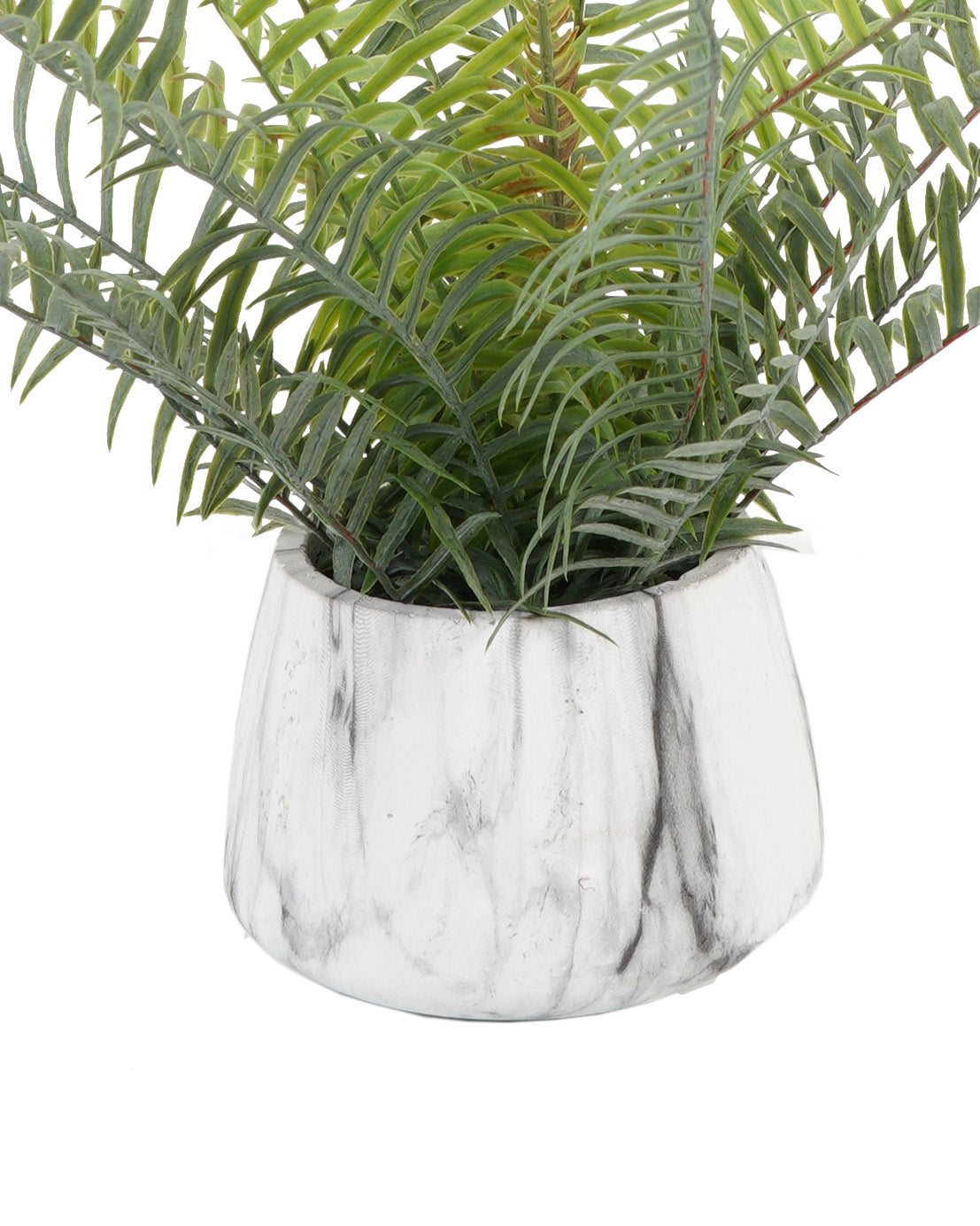 Helecho En Macetero Marmol (35 Cm)