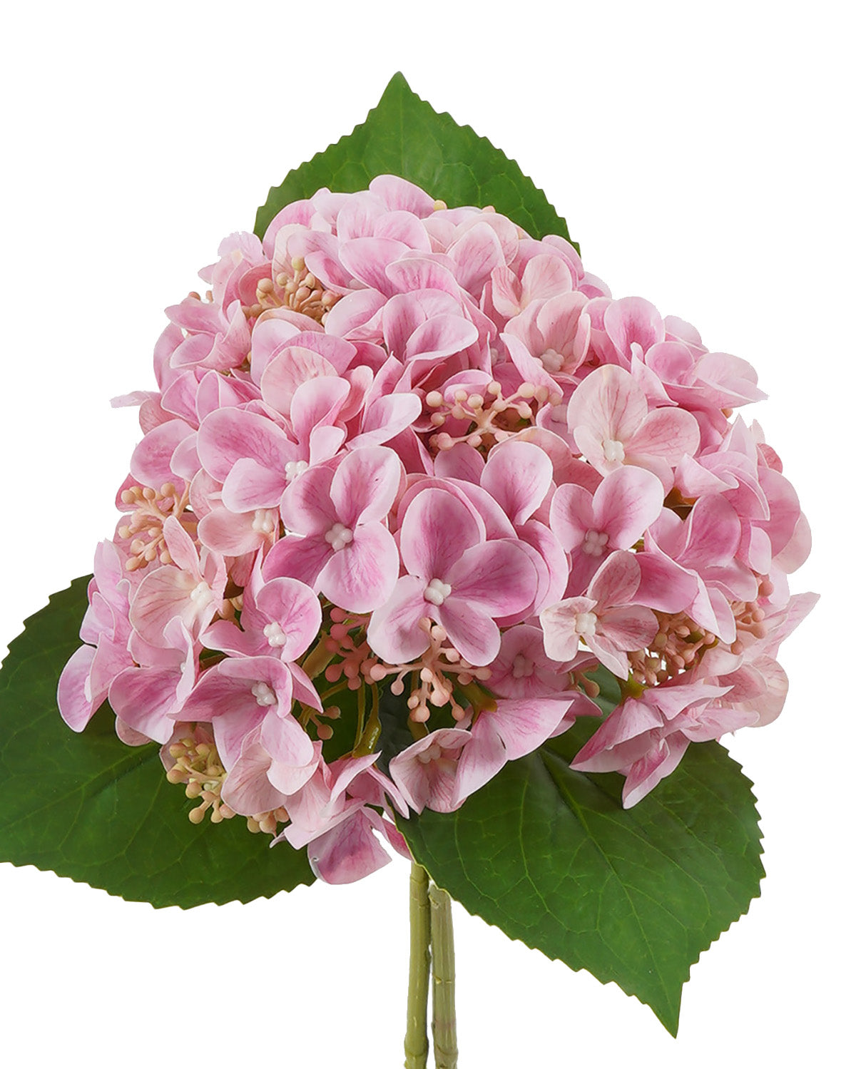 Mini Hortensia Rosada (32 Cm)