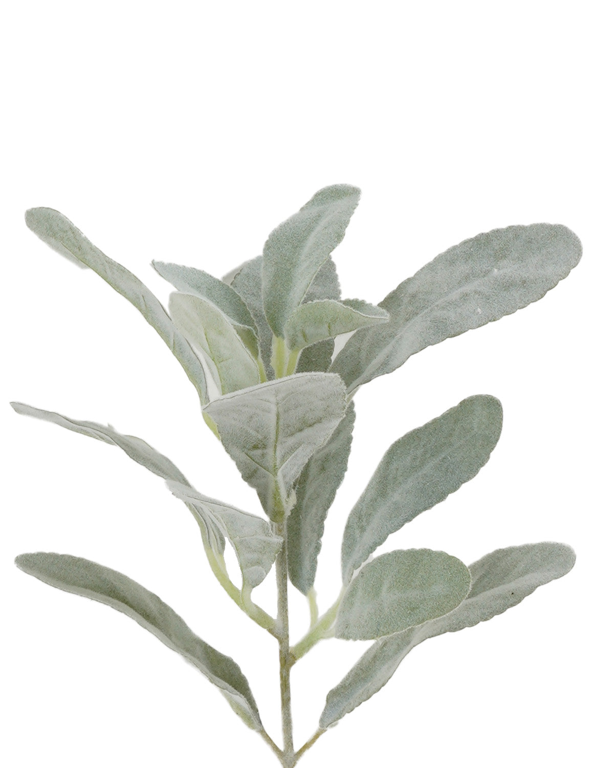 Vara Hojas Verdes (34 Cm)