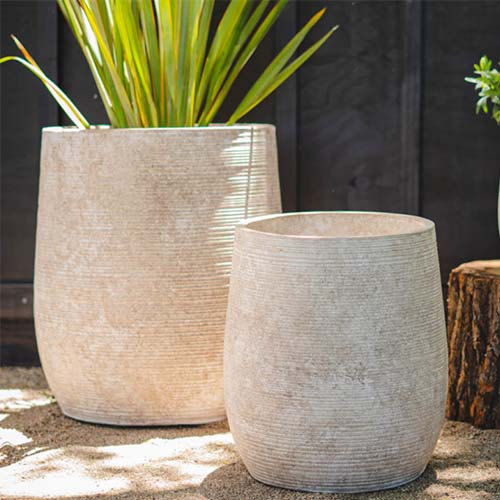 MACETERO AVELLANO XL 50cms