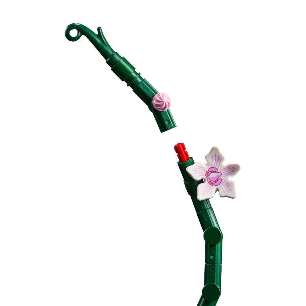 ORQUIDEAS