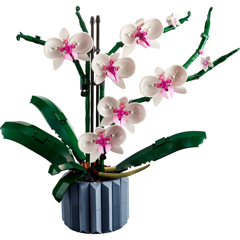 ORQUIDEAS
