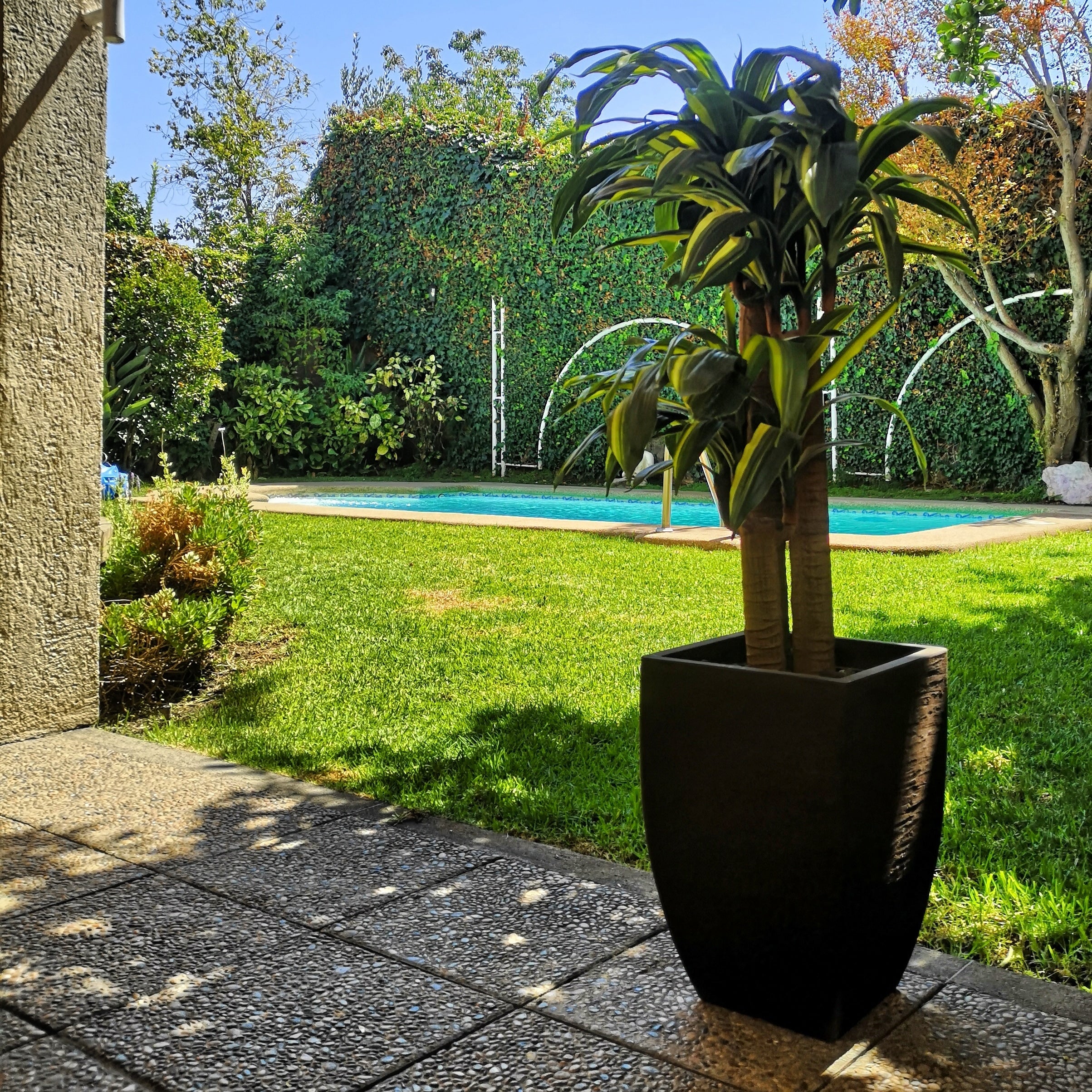 PALO DE AGUA (165 cms.)