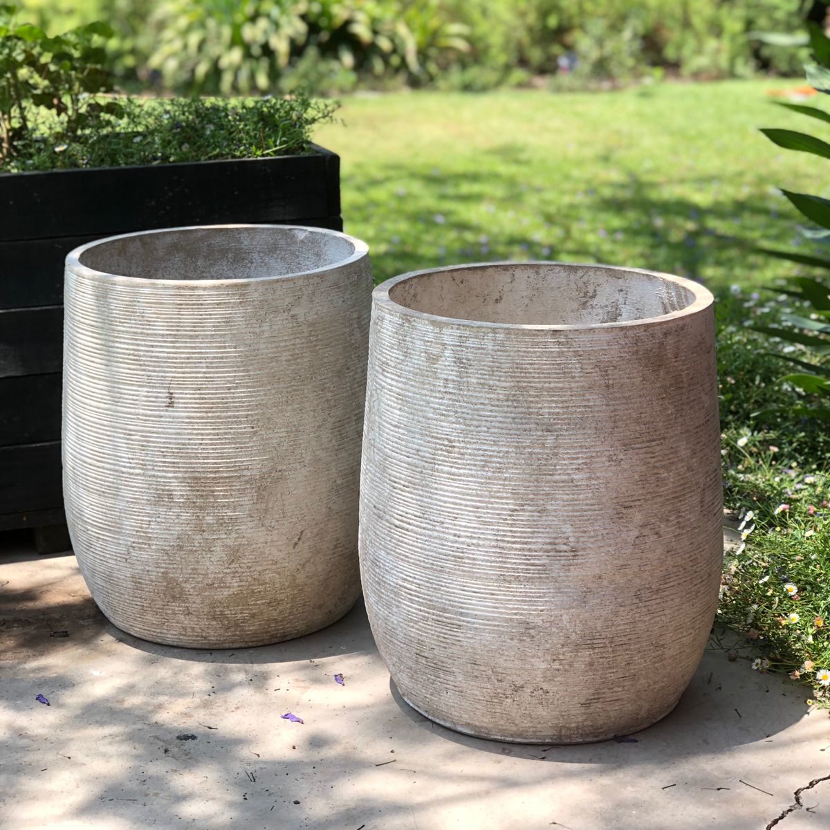 MACETERO AVELLANO M 26cms
