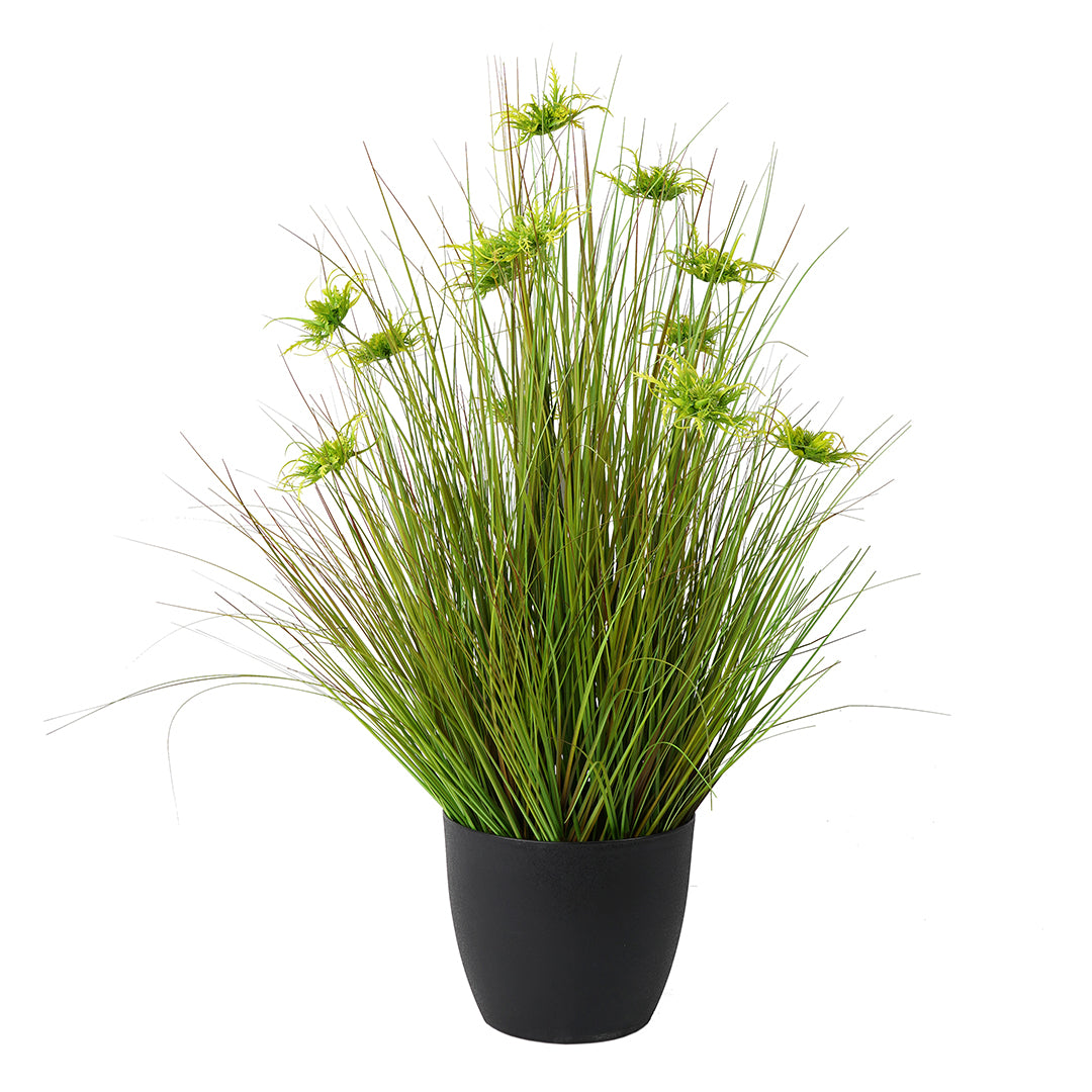 GRASS AMARILLO (91 cms.)
