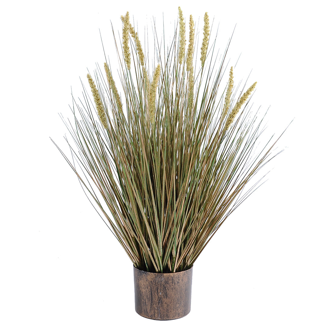 GRASS | MACETERO (76cms.)