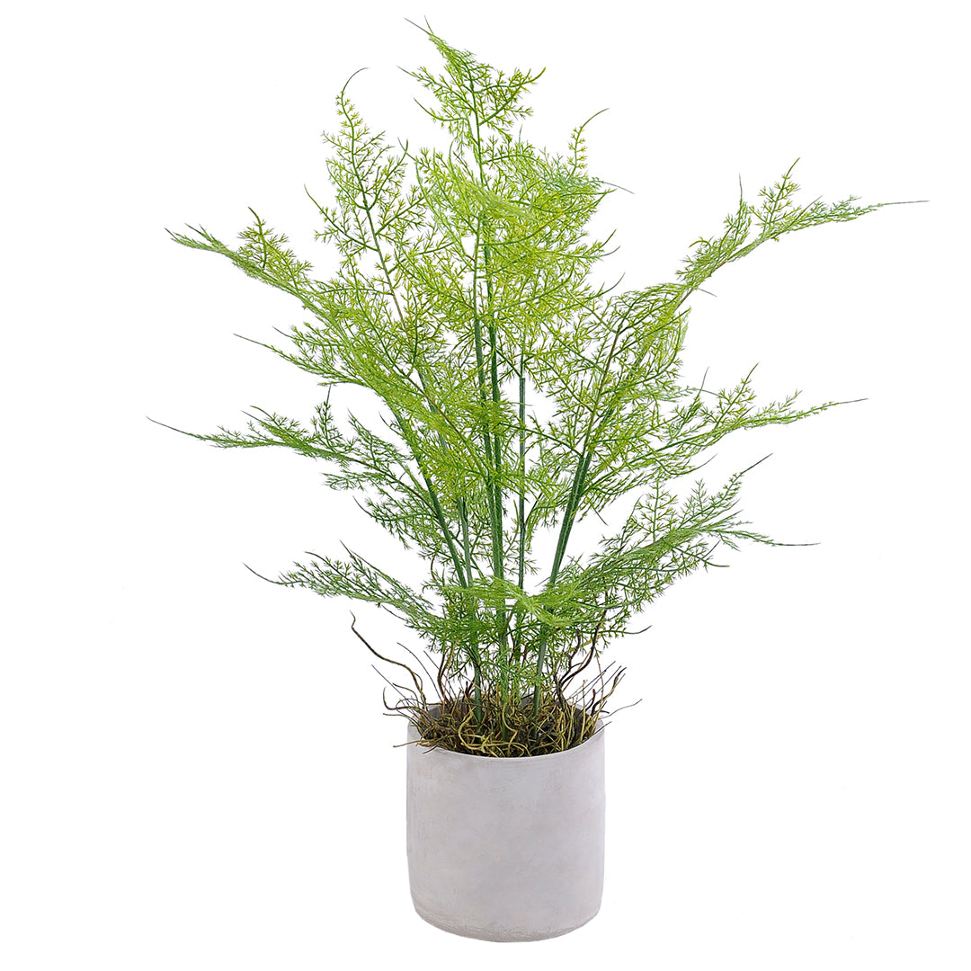 HELECHO VERDE | MACETERO CEMENTO (58 cms.)
