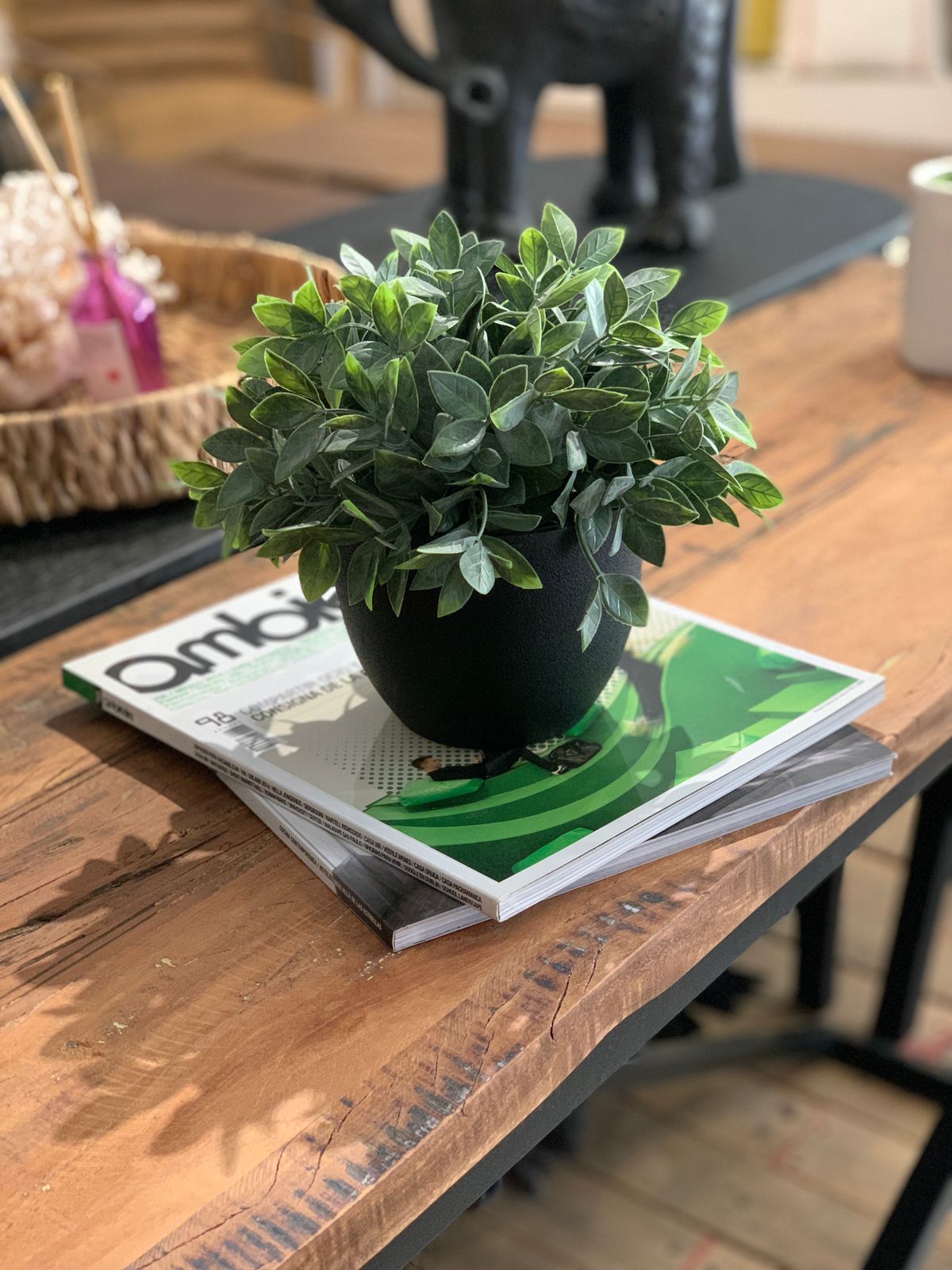 PLANTA VERDE (20cms.)