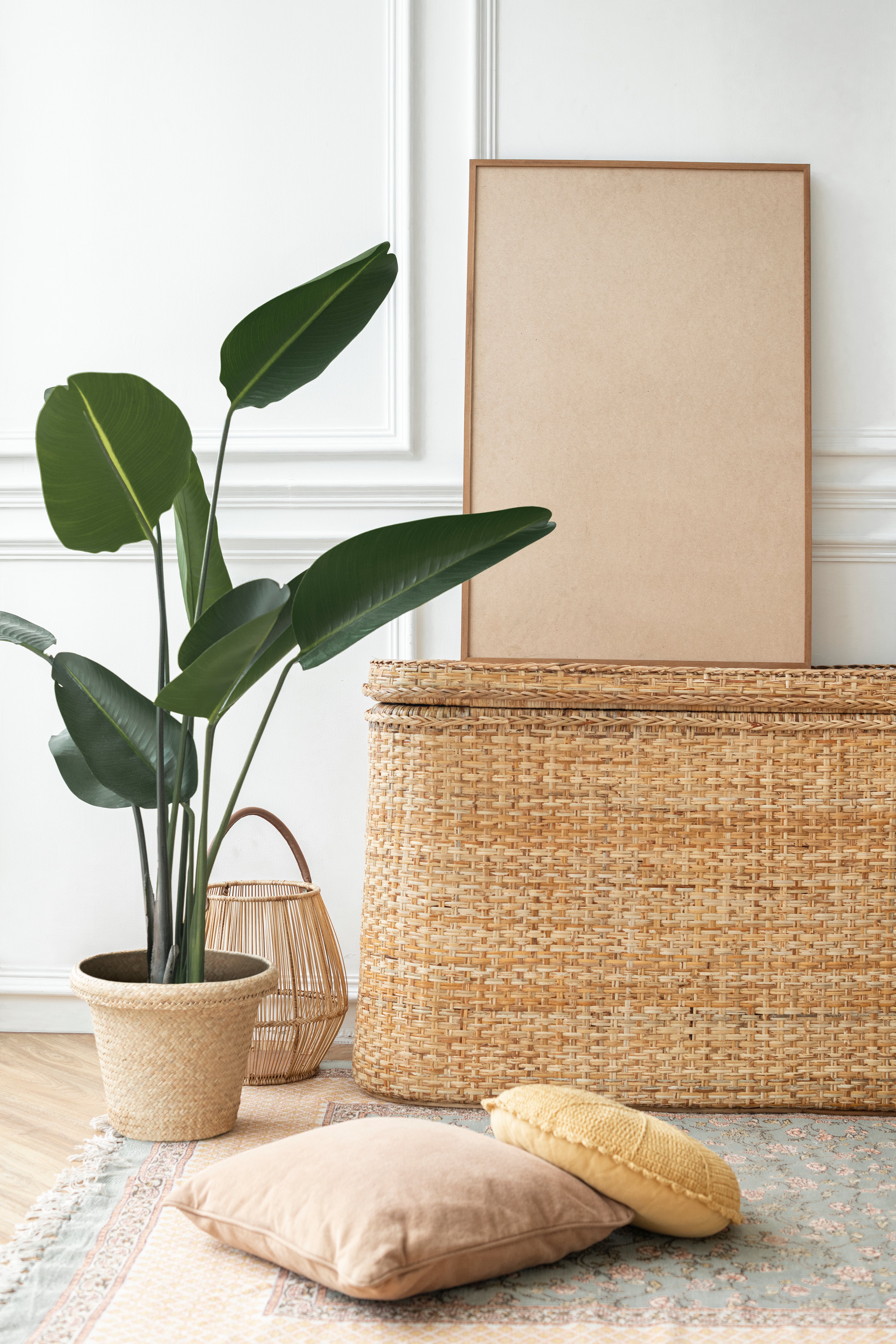 BIRD OF PARADISE - PLANTA DECORATIVA | GREEN ELEMENT