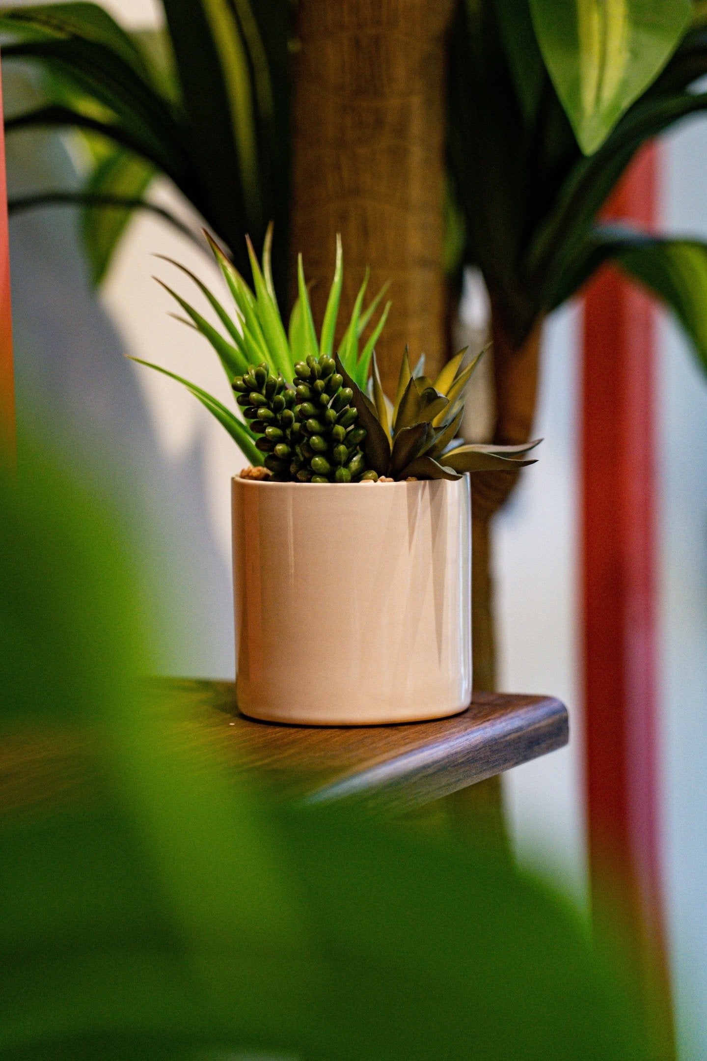 Suculenta artificial