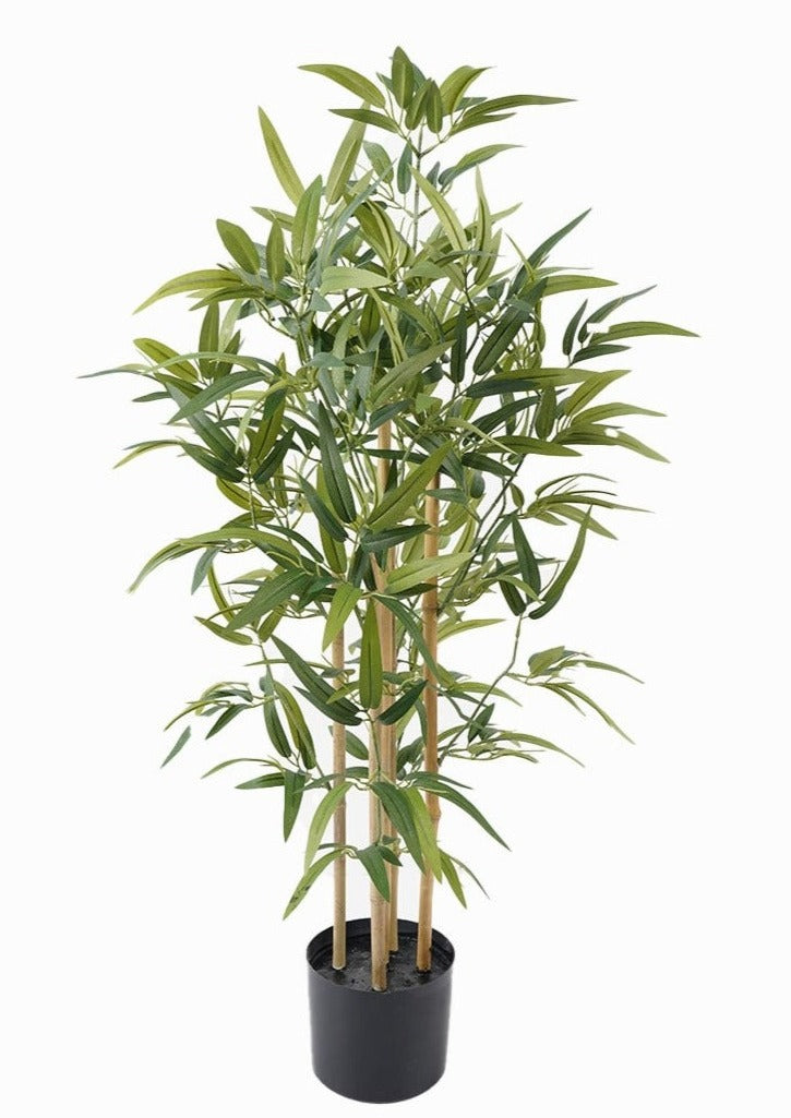 Bamboo (100 Cm)