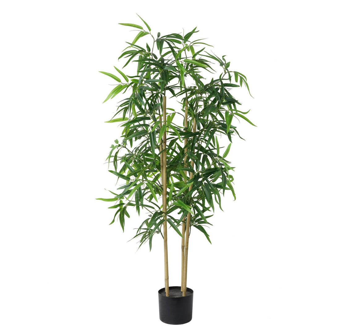 Bamboo 127 CM
