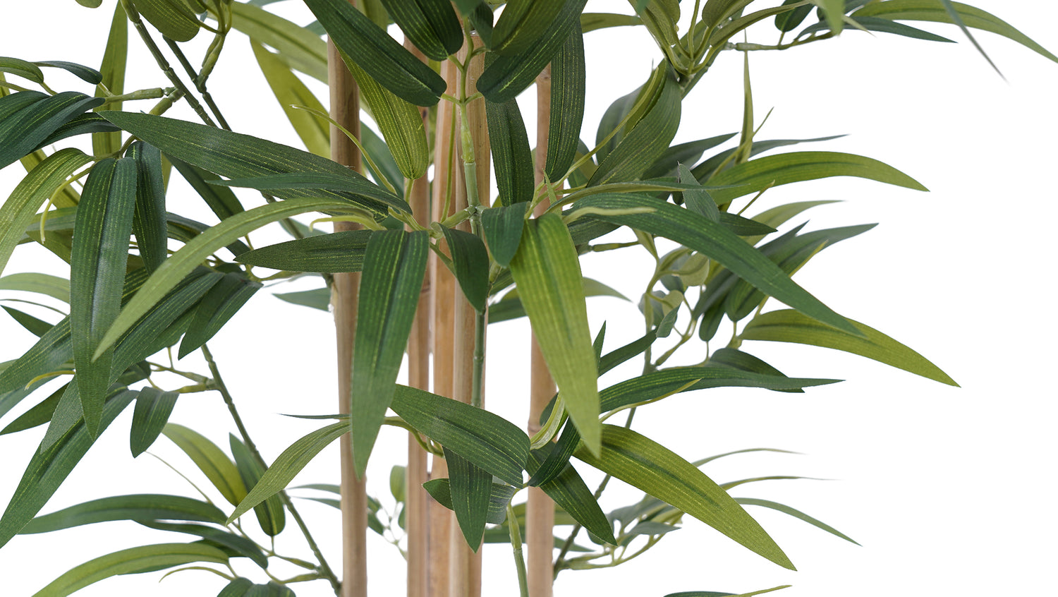 Bamboo (100 Cm)