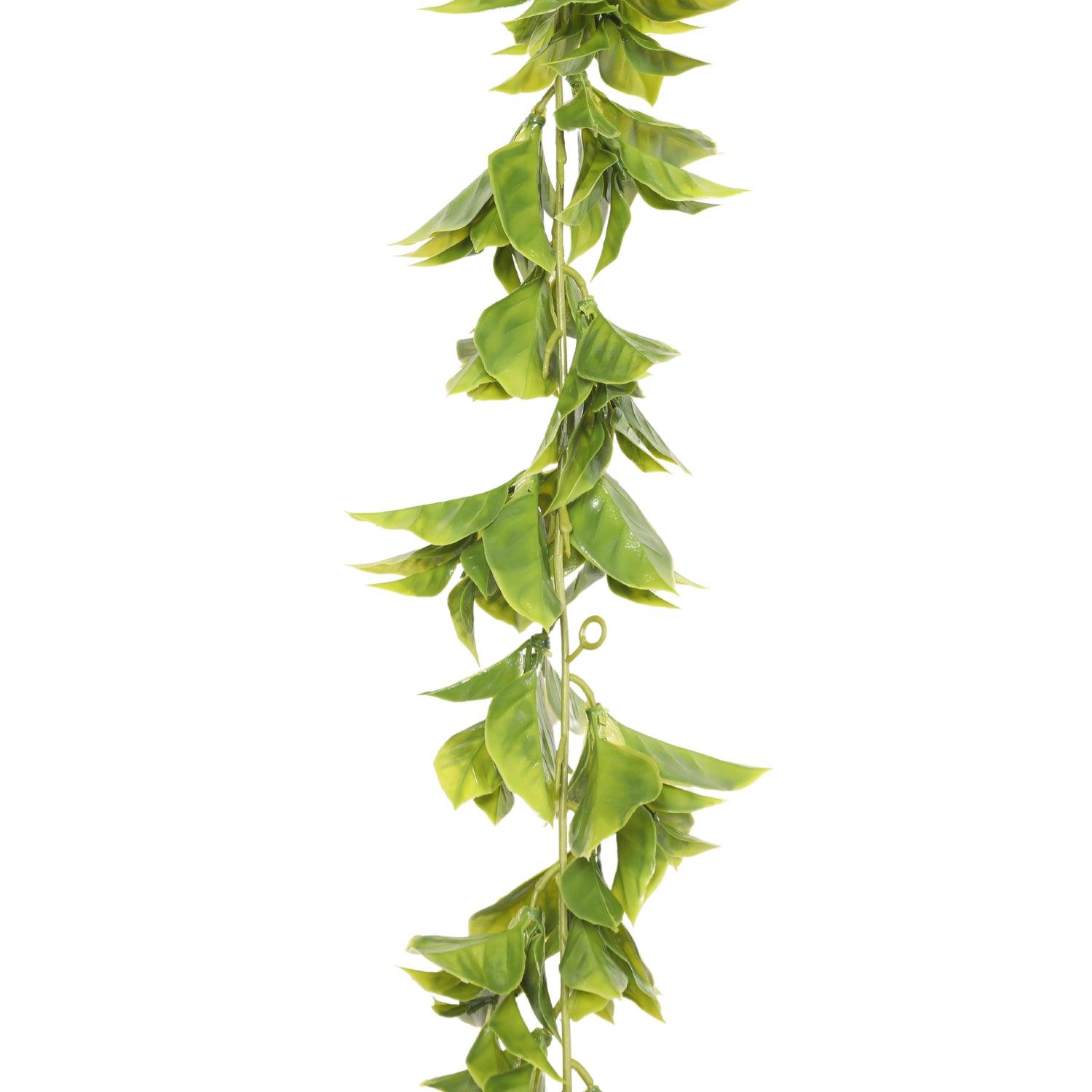 Planta colgante Gardenia Verde 190 cm, con filtro UV