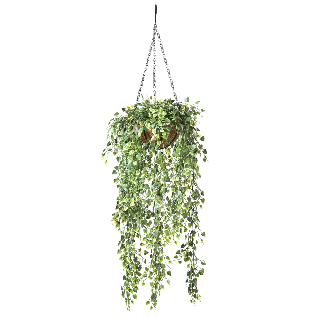 Helecho Colgante, Artificial