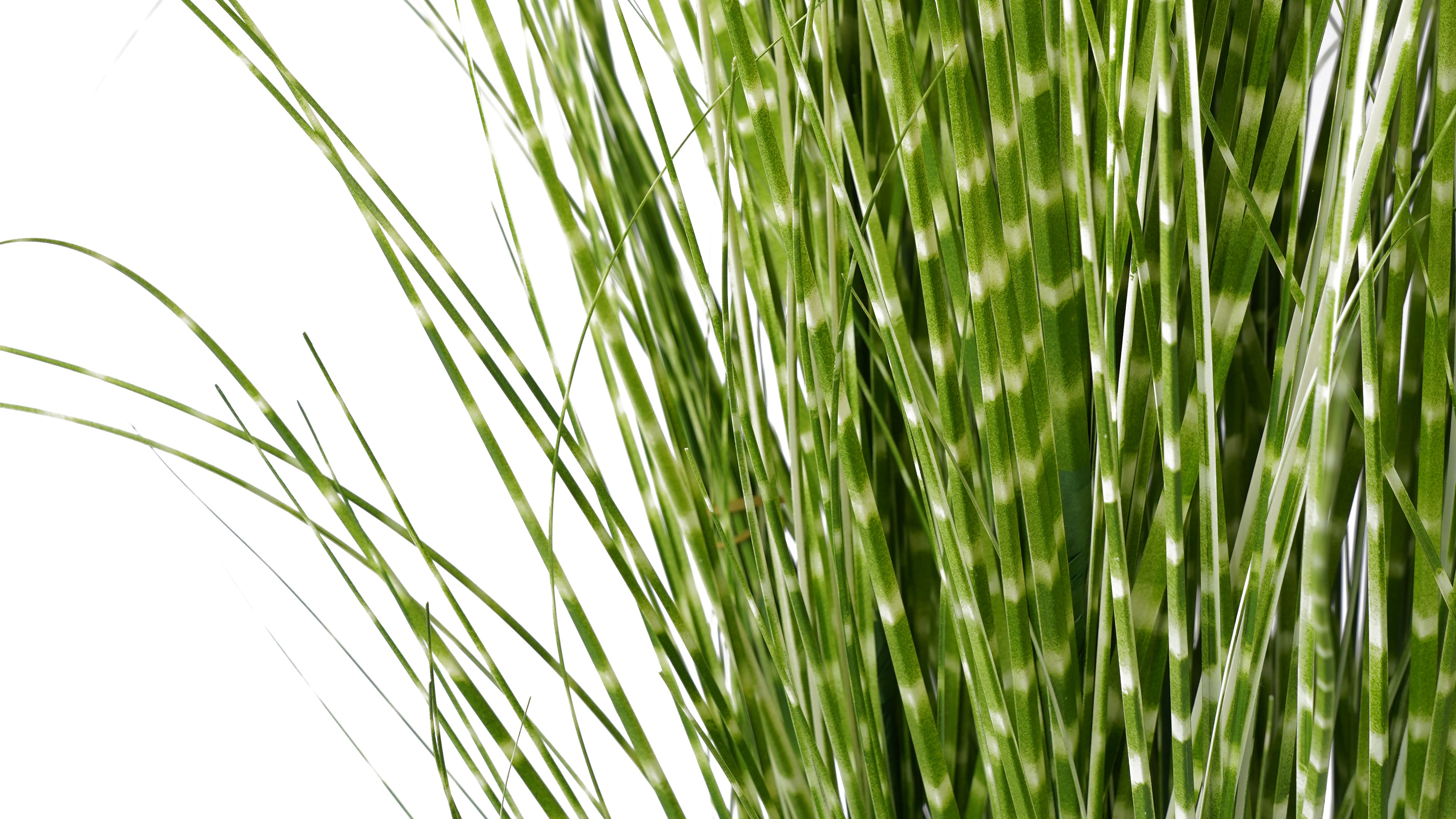 Grass Verde 120 CM