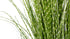 Grass Verde (120 Cm)