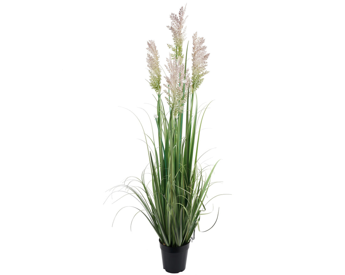 Grass Verde Flor (120 Cm)