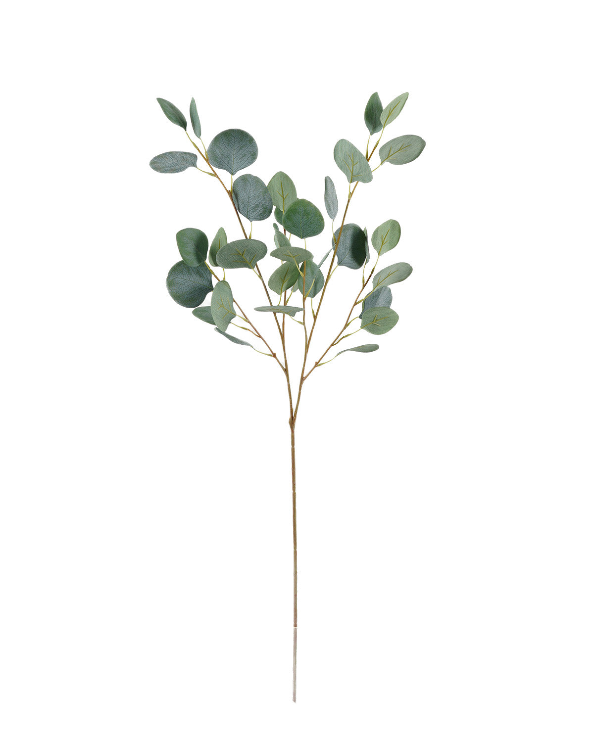 Mini Vara De Eucaliptus (91 Cm)