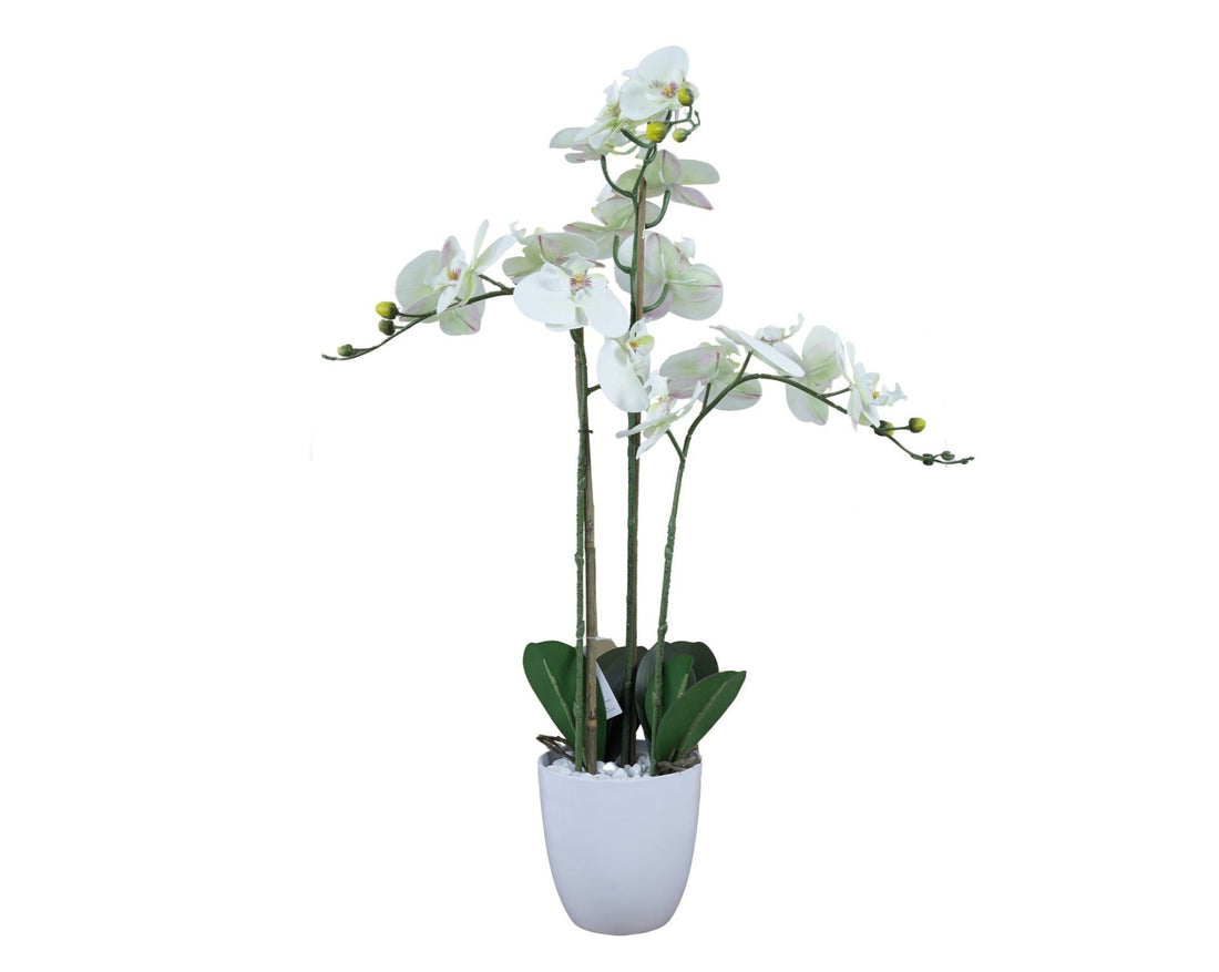 Orquidea Blanca artificial
