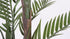 Palmera (150 Cm)