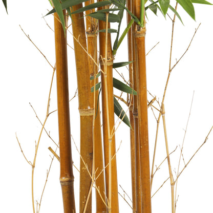 Planta Bamboo artificial