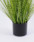 Grass Verde (61 Cm)