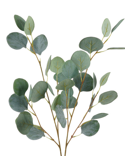 Mini Vara De Eucaliptus (91 Cm)