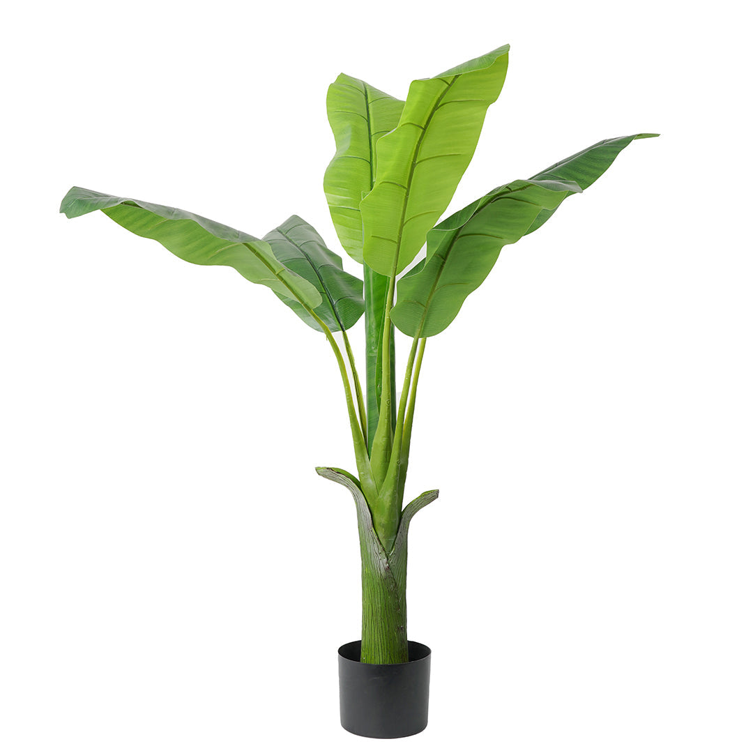 BANANA TREE - PLANTA DECORATIVA | GREEN ELEMENT