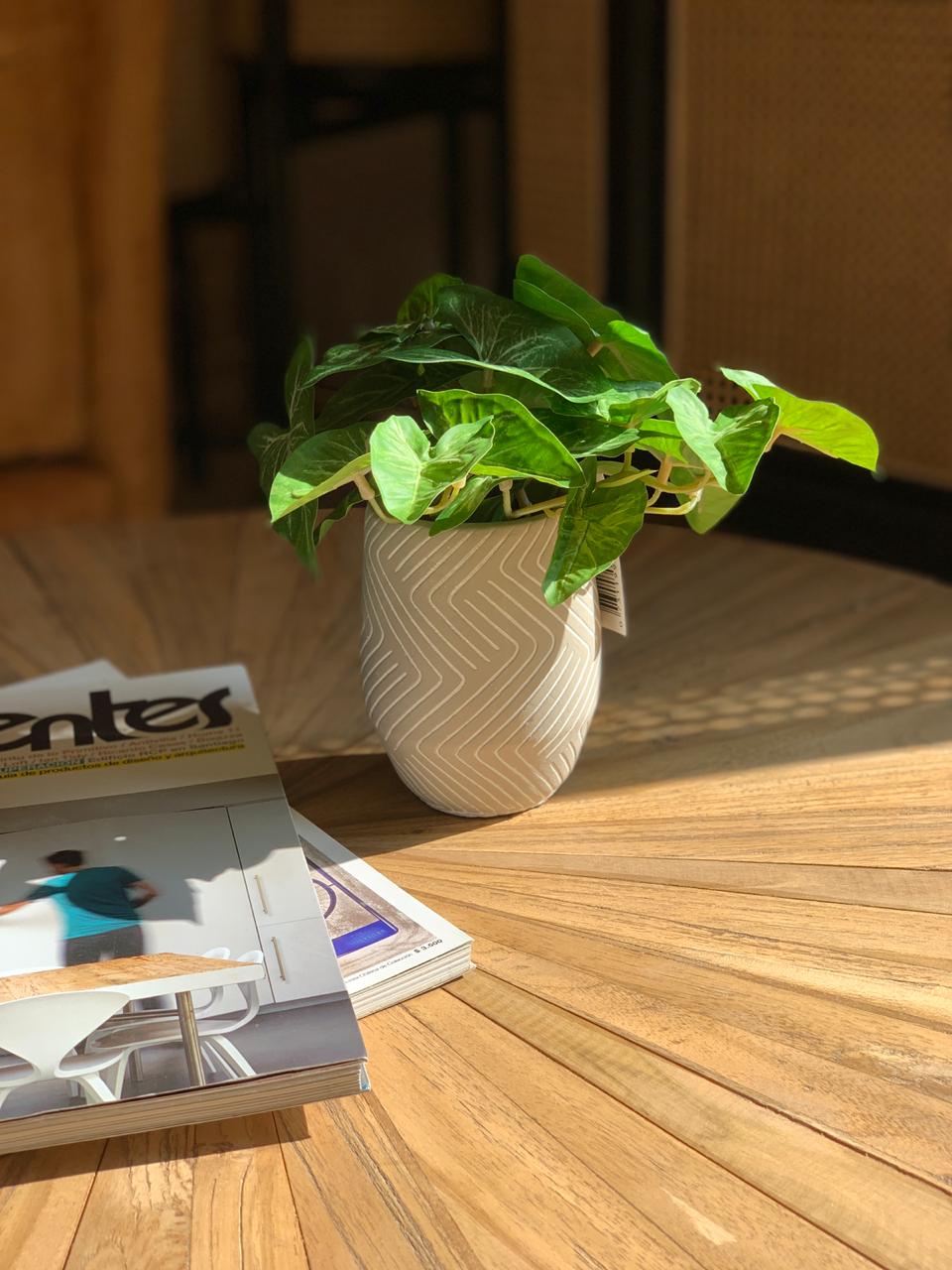TARO | MACETERO (21 cms.)